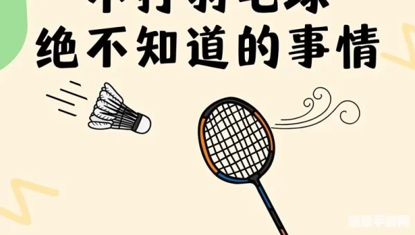 羽毛球偷后场