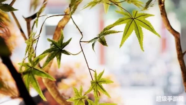 梦回千年