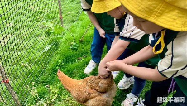 抓动物游戏