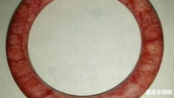 罗乌的血玉手镯