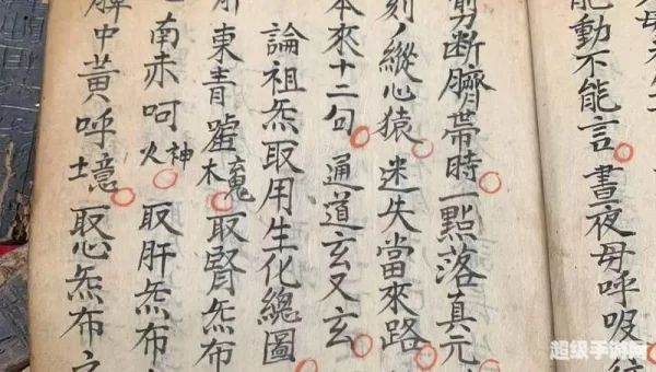 纯阳秘籍