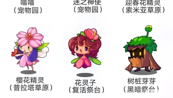 洛克vip宠物