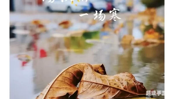 一场秋雨一场寒有科学依据吗