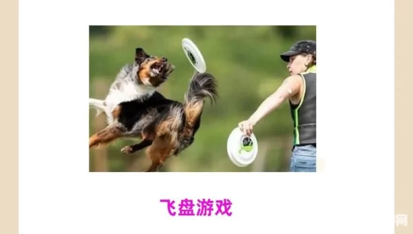 养狗游戏