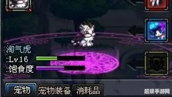 dnf宠物大全
